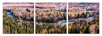Quadro Creek in the woods