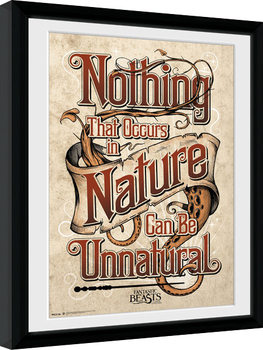 Fantastic Beasts And Where To Find Them - Nature Poster Emoldurado
