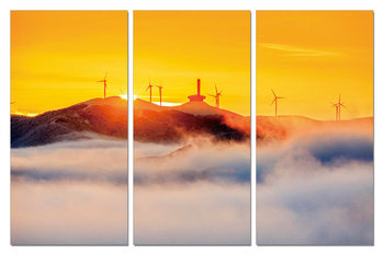 Quadro Golden sunset on the coast