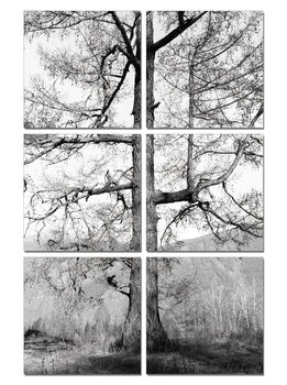 Quadro Gray tree