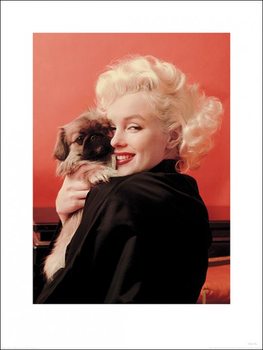 Reprodução do quadro Marilyn Monroe - Love