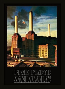 Pink Floyd - Animals Poster Emoldurado