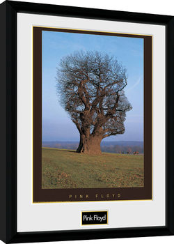 Pink Floyd - Tree Poster Emoldurado