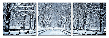 Quadro Snowy park