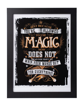 Poster Emoldurado Harry Potter - Allowed Magic