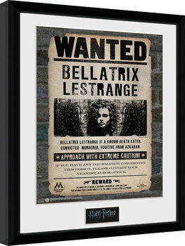 Poster Emoldurado Harry Potter - Bellatrix