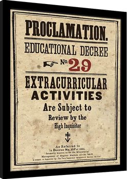 Poster Emoldurado Harry Potter - Educational Decree No. 29
