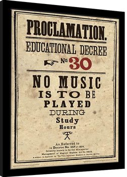 Poster Emoldurado Harry Potter - Educational Decree No. 30