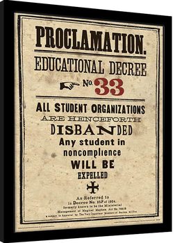 Poster Emoldurado Harry Potter - Educational Decree No. 33