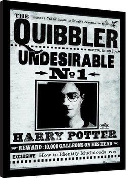Poster Emoldurado Harry Potter - The Quibbler