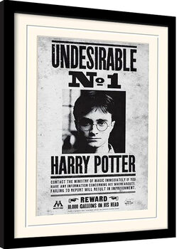 Poster Emoldurado Harry Potter - Undersirable No1