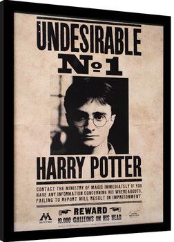 Poster Emoldurado Harry Potter - Undesirable N.1