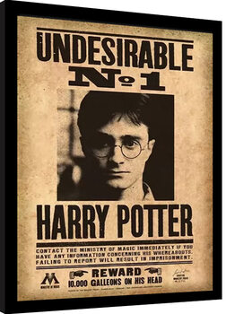 Poster Emoldurado Harry Potter - Undesirable No. 1