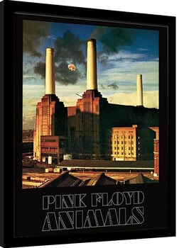 Poster Emoldurado Pink Floyd - Animals