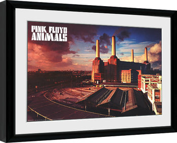 Poster Emoldurado Pink Floyd - Animals