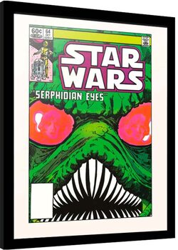 Poster Emoldurado Star Wars - Serphidian Eyes