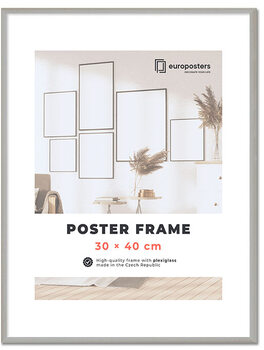 POSTERS Poster frame 30×40 cm Silver - Plastic