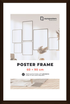 40x60 Poster Frame