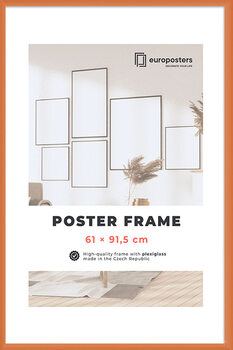 POSTERS Poster frame 61×91,5 cm Orange - Plastic