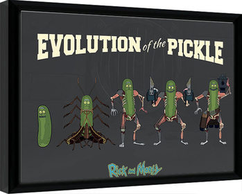 Uokvireni poster Rick & Morty - Evolution Of The Pickle