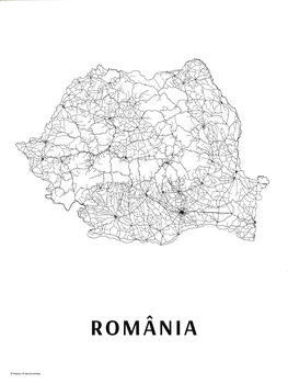 Принти на полотні România black & white