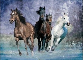 Running horses - bob langrish - плакат (poster)