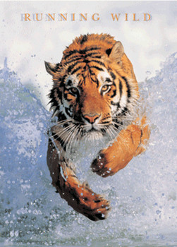 3D Αφίσα RUNNING WILD - 3D