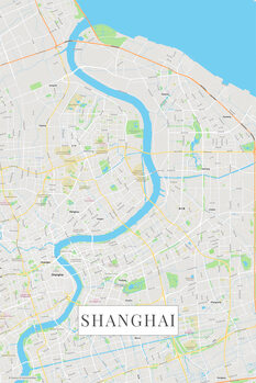 Принти на полотні Shanghai color