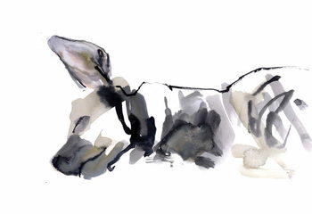 Принти на полотні Sleeping Hyaena, 2010,