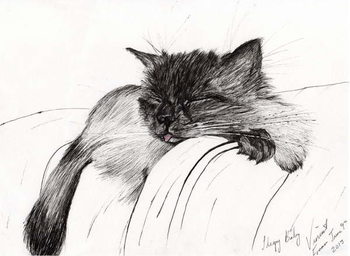 Принти на полотні Sleepy Baby, 2013,
