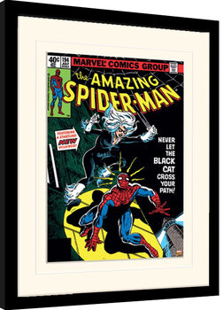 Framed Poster Spiderman - Black Cat