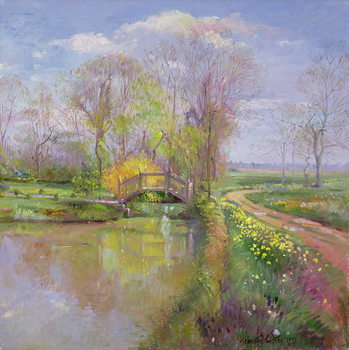 Лепенка Spring Bridge, 1992