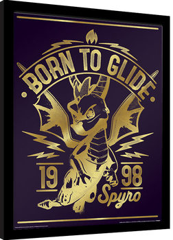 Framed poster Spyro - Gold Born To Glide