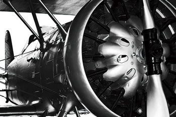 Plane - Engine Staklena slika