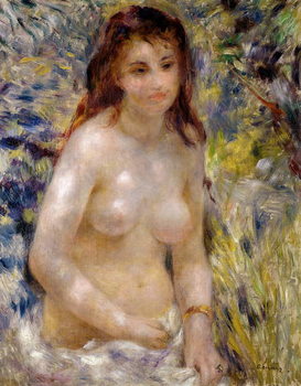 Принти на полотні Study. Torso, effect of sunlight, c.1875-76