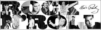 Elvis Presley - Rock n' Roll Taidejuliste