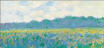 Field of Yellow Irises at Giverny Taidejuliste
