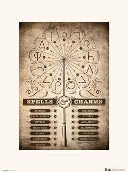 Harry Potter - Spells & Charms Taidejuliste