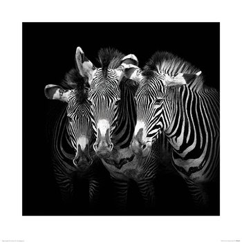 Taidejuliste Marina Cano - Shades of Grevy
