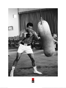 Taidejuliste Muhammad Ali - Punch Bag