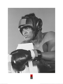 Taidejuliste Muhammad Ali - Training