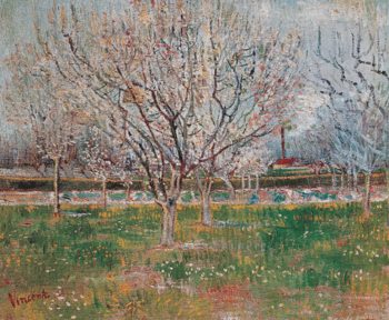 Plum Trees: Orchard in Blossom, 1888 Taidejuliste
