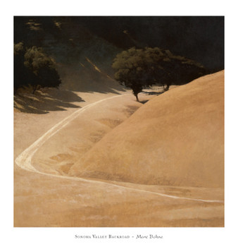 Taidejuliste Sonoma Valley Backroad