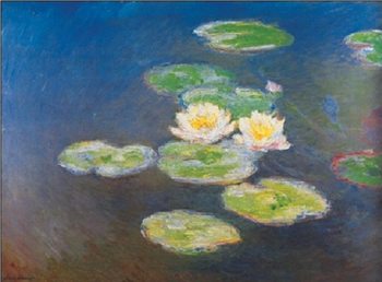 Water Lilies, 1914-1917 Taidejuliste