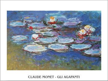 Water Lilies (Agapanthus) Taidejuliste