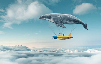 Принти на полотні Take me to the dream