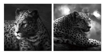 Beast hidden in gray Taulusarja
