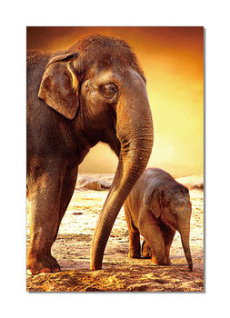 Elephants - Mom and Baby Taulusarja