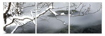Winter Snapshot Taulusarja