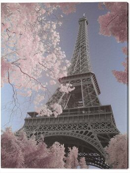 Tela David Clapp - Eiffel Tower Infrared, Paris